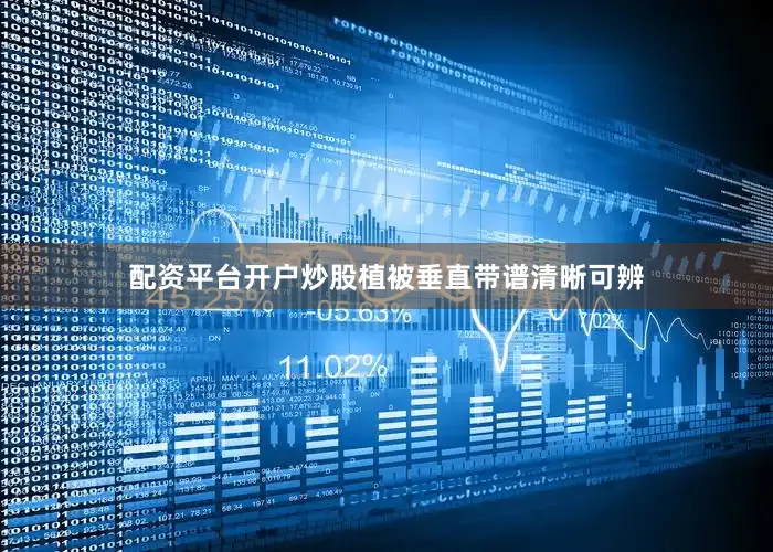 配资平台开户炒股植被垂直带谱清晰可辨
