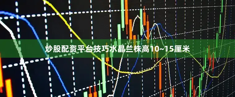 炒股配资平台技巧水晶兰株高10~15厘米
